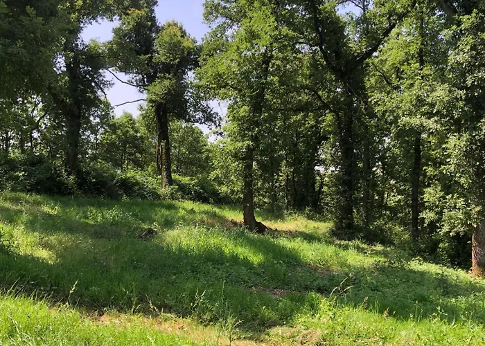 Larrouy Вилла Saint-Antoine (Gers)